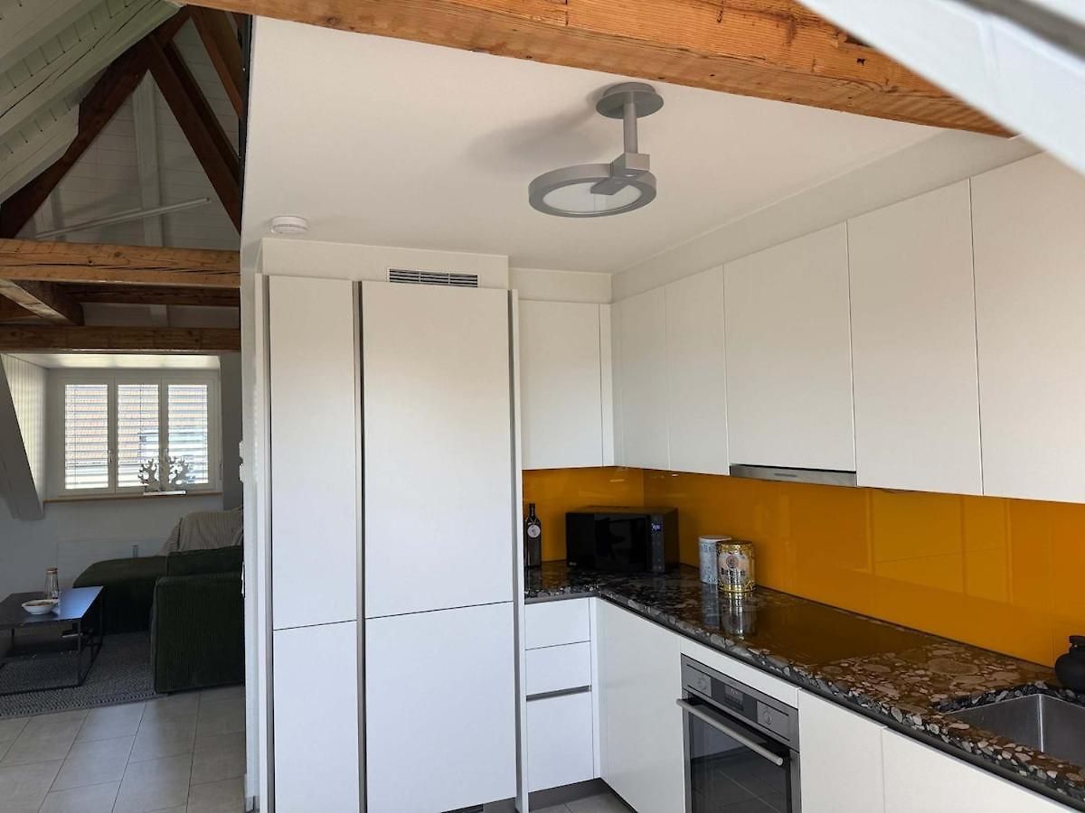 Attic With Parking And View * Zurich