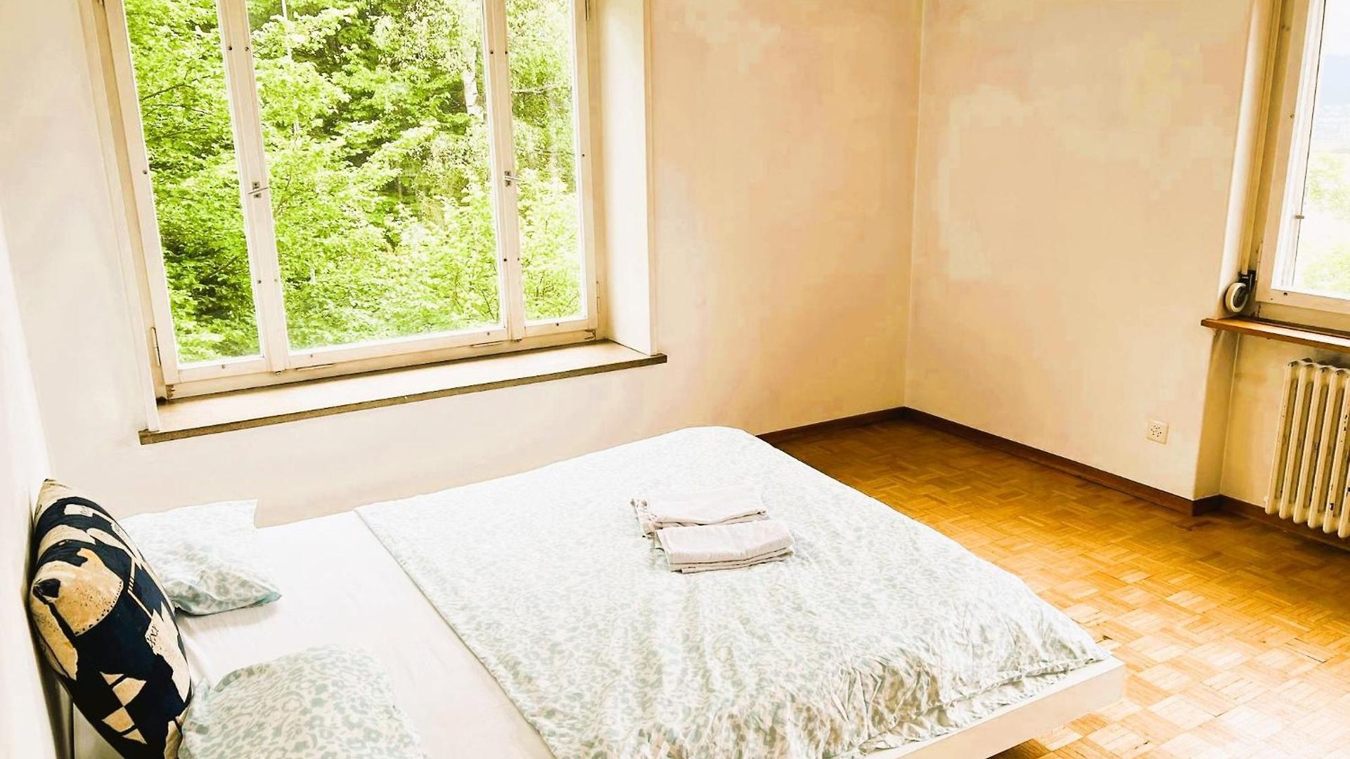 Apartment Center Flats With Balcony - Rigi