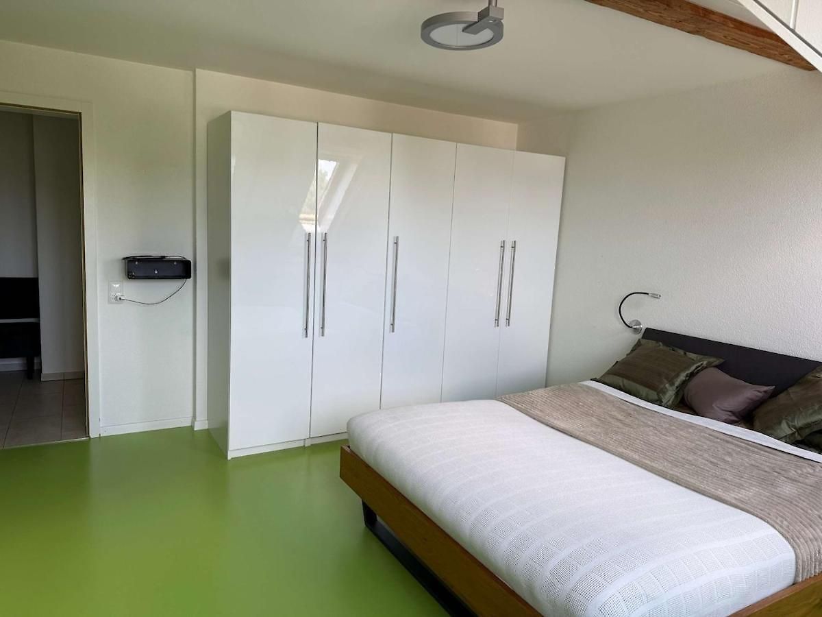 Attic With Parking And View Apartment Zurich