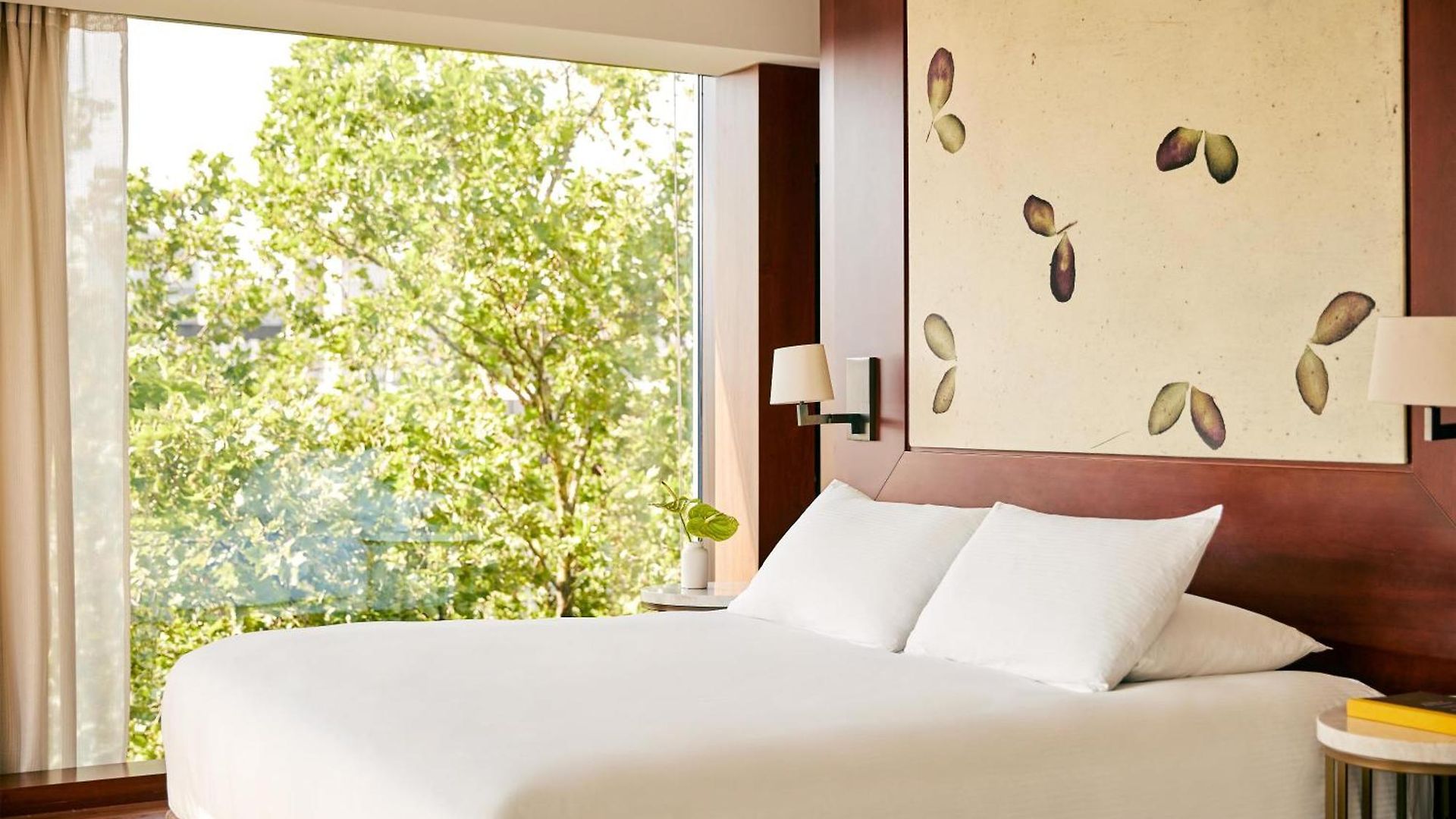 Hotel Park Hyatt – Center Luxury 5*