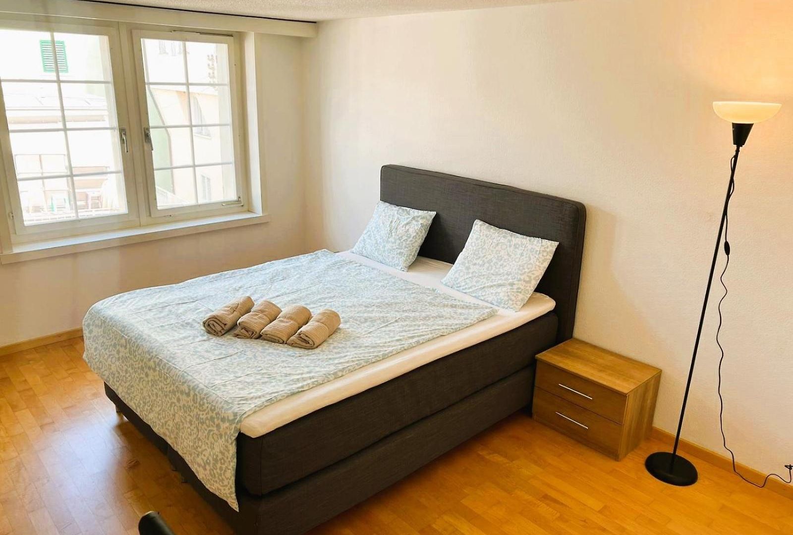 2 Flat In Old Town Center Renn