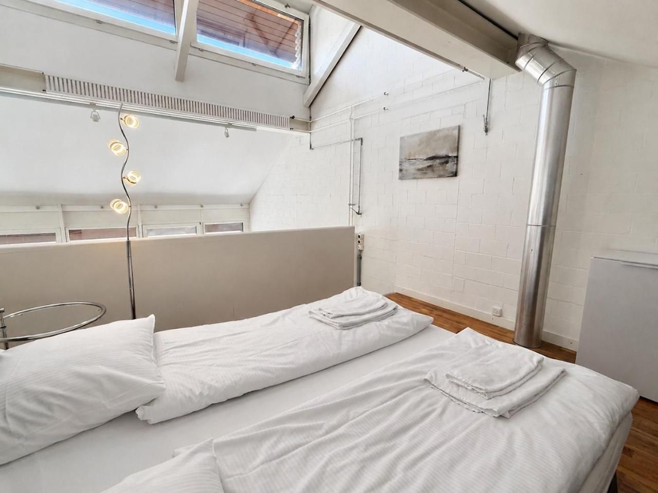 Exclusive Loft In Seefeld - Mühle Apartment Zürich