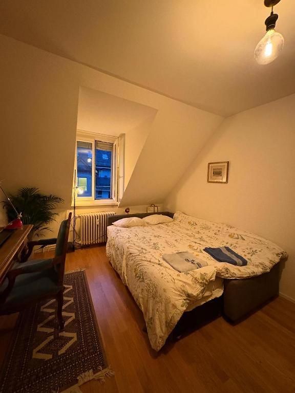 Cosy In Attic Flat In The Center Of Homestay Zurich