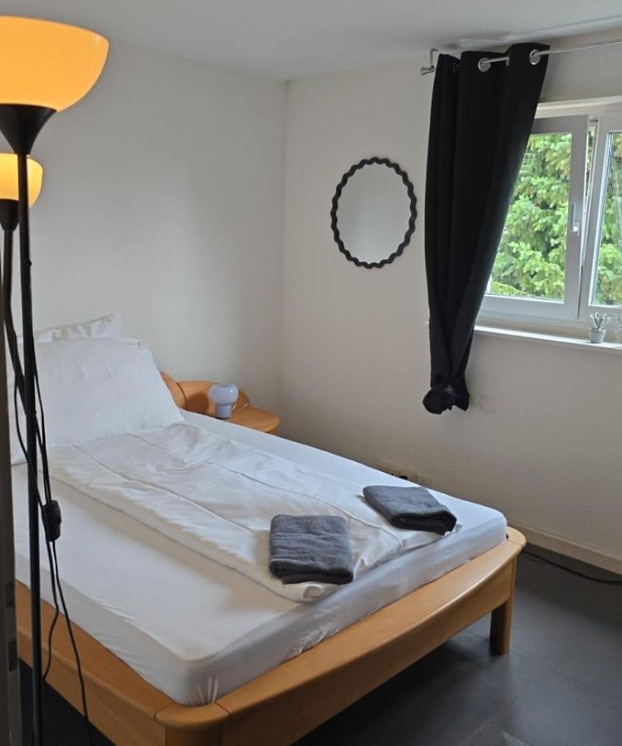 Near Oerlikon And Airport Apartment Zurich