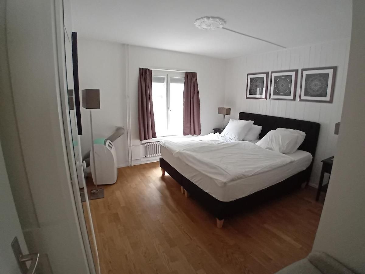 Stylish Flat In The Heart Of Zurich's Old Apartment Zurich