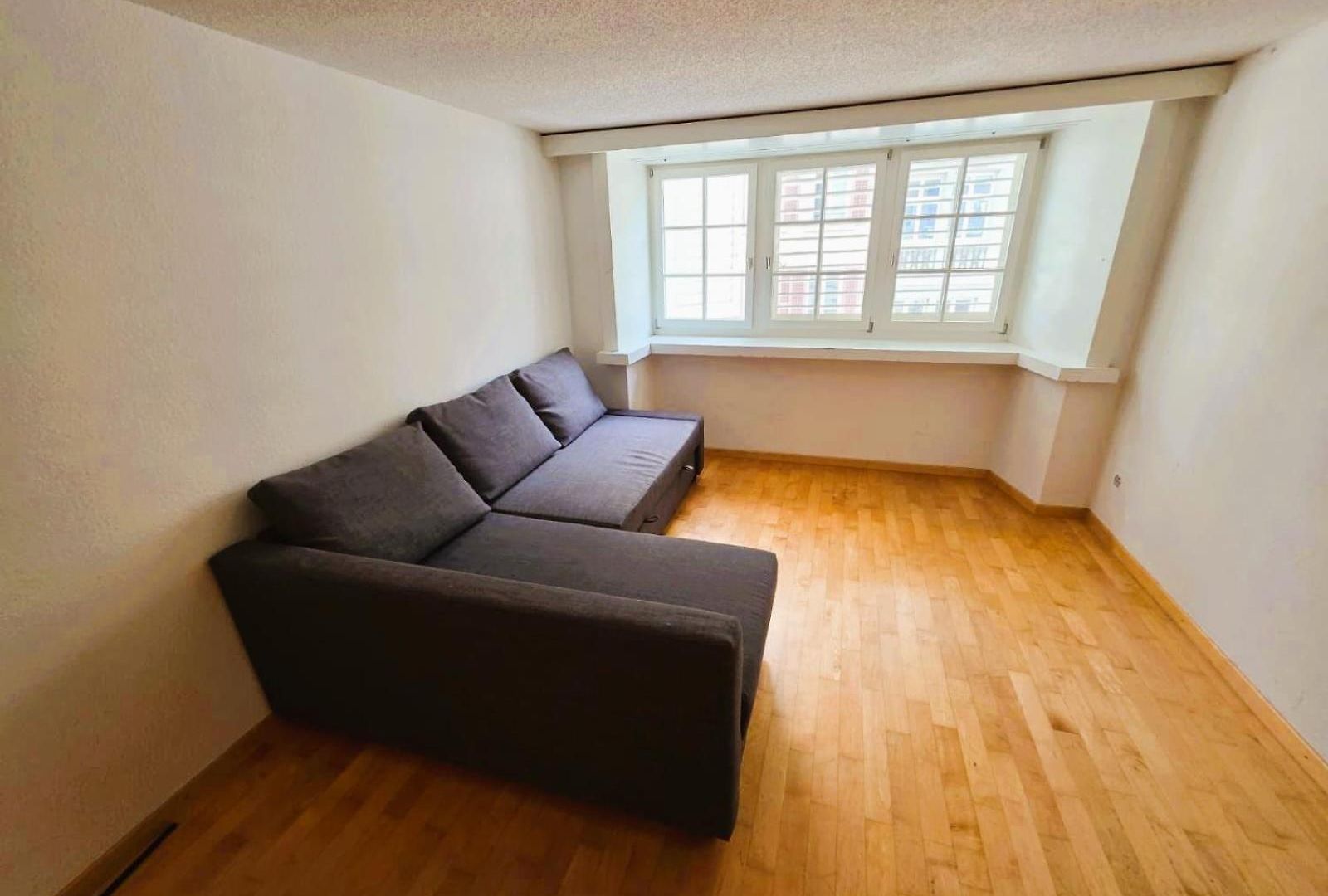 Apartment New Cozy 2 In Old Town Center Renn - Self Checkin Zürich
