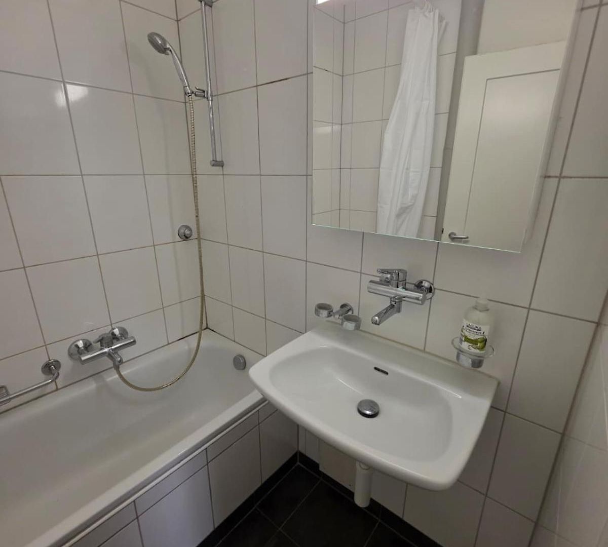 Large Flats, Center - Sche Apartment