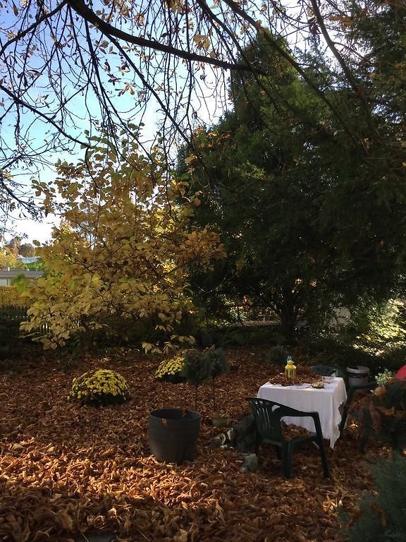 Apartment Garden Zürichberg *