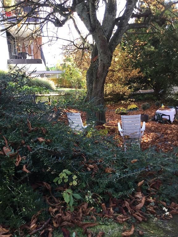 Garden Zürichberg * Zürich