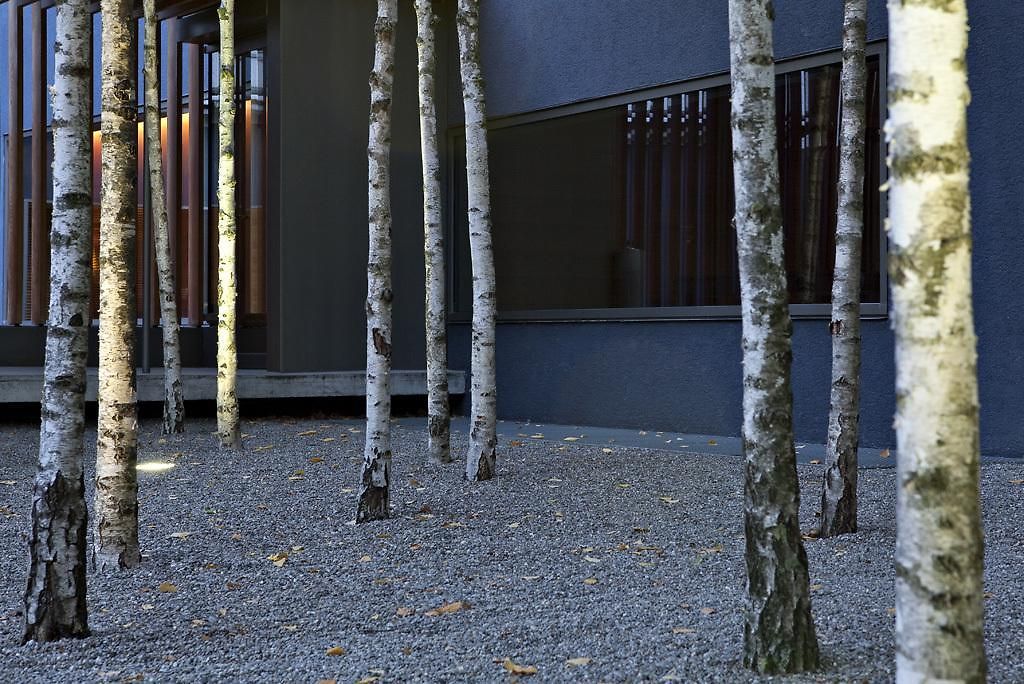 Hotel Greulich Design&boutique 3*
