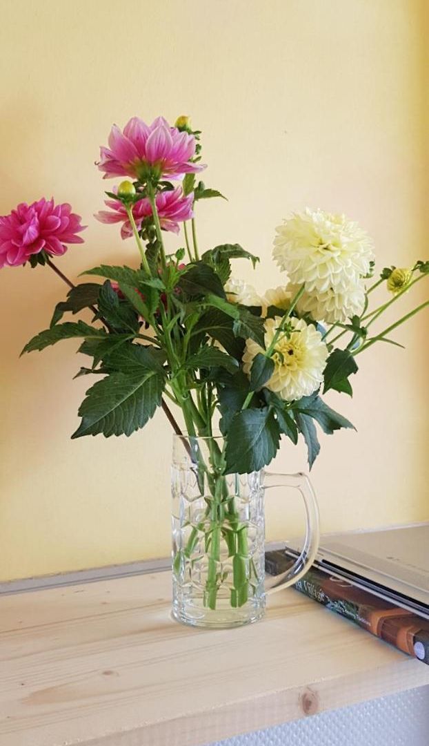 Hotel Homestay City Zurich