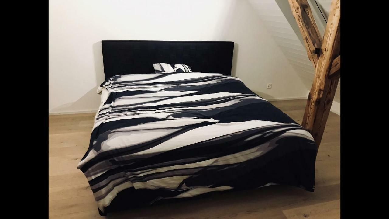 Apartment Luxury Penthouse Zurich