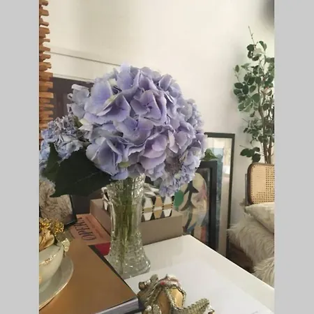 Apartment I Loft
