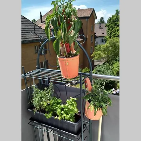 Apartment Turicum Mit Balkon Und Parkplatz