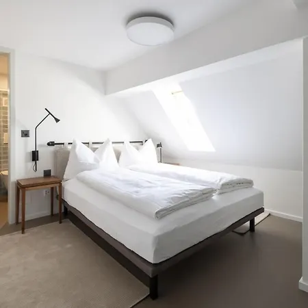 Ema House Serviced Superior Unterstrass Zürich