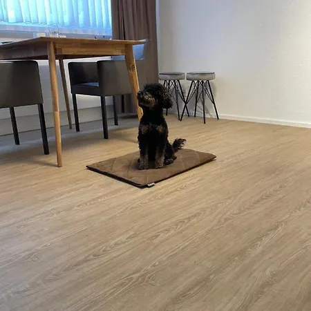 Apartment Gocki