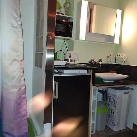 Room in Guest room - Mini-Apartement in Zurich Gasthof Zürich