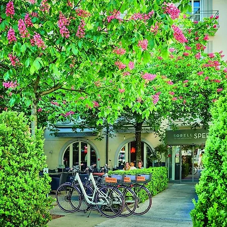 Sorell Zürichberg Zürich