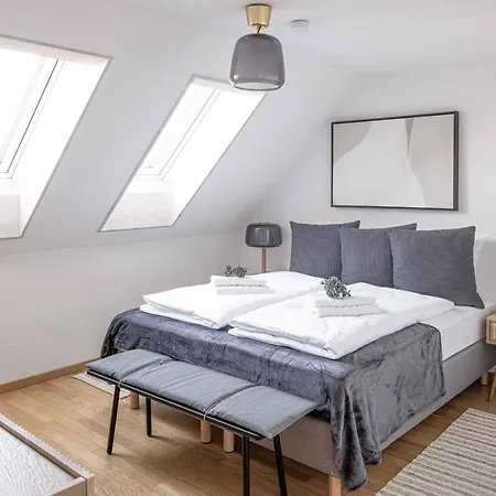 Apartment Modern 3bdr Duplex With Skyroof In Trendy West