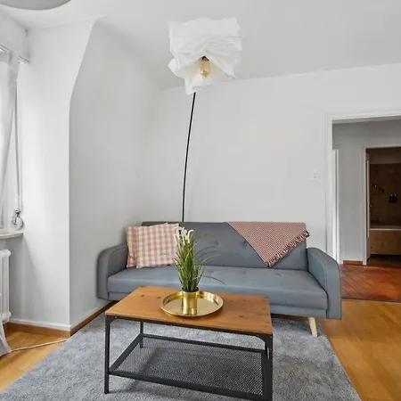 Apartment Cozy In The Heard Of Sonnegg Zurich