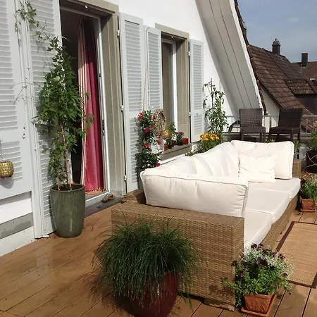 Guest House Bellevue Terrace * Zurich