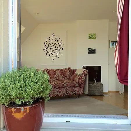 Guest house Guest House Bellevue Terrace *