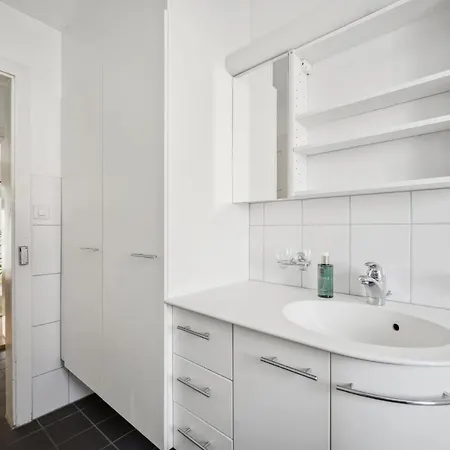 Comfortable In Oerlikon 20 Minutes Away From Airport Apartment Zürich