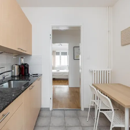 Downtown Dream 3,5br With Balcony And Style Ba42 Apartment Zürich