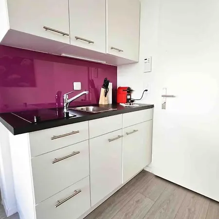 Downtown Deluxe With Queen Bed Be-25 Apartment Zurich