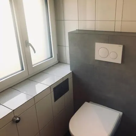 Apartment Near Zurich