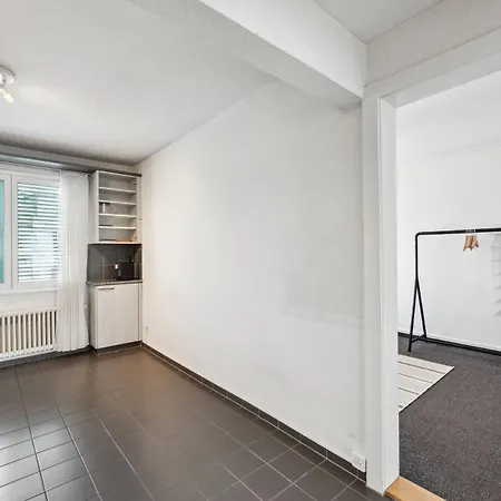 Apartment Comfortable In Oerlikon 20 Minutes Away From Airport Zürich