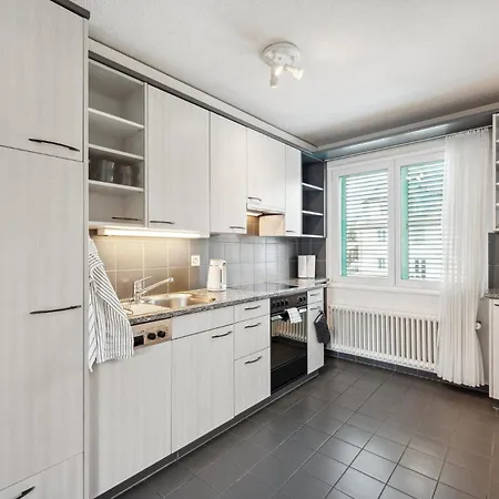 Comfortable In Oerlikon 20 Minutes Away From Airport Apartment *