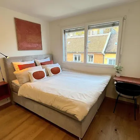 Premium Penthouse - Ac, Laundry, Balcony, Parking Apartment Zurich