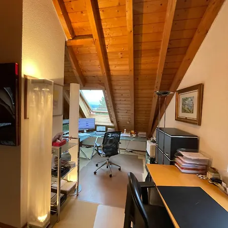 Apartment Spacious And Stylish In Zurich