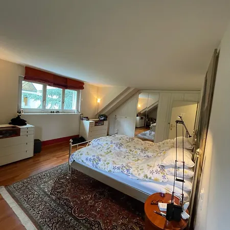 Spacious And Stylish In Zurich