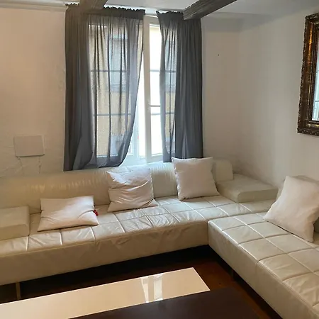 Rosa Apartment Zuerich City * Zurich