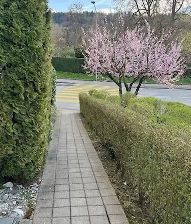 Feel Good With Forest View Apartment