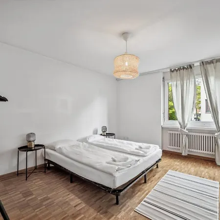Chic 3-bedroom Near Center Apartment Zürich