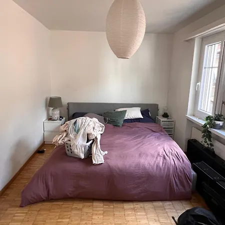 Cosy In The Heart Of Zurich