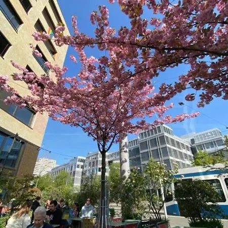 Kaya Turquoise Apartment Zurich