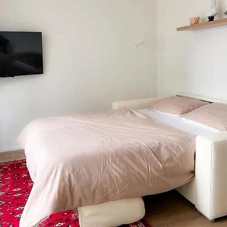 Apartment Heaven Rooftop With 2 Balconies -403- Zurich