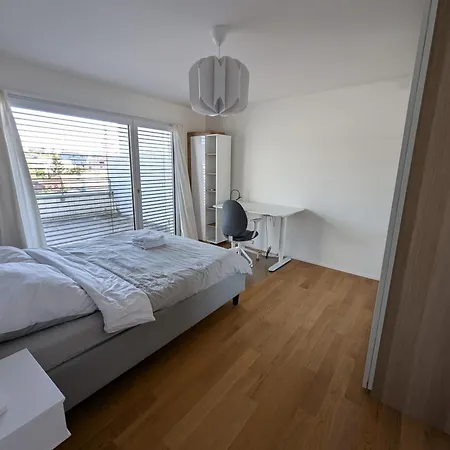 Apartment Modern Roof-top With Terrace & View Zurich