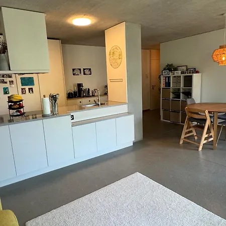 Traumwohnung In Mit Aussicht Und Parkplatz Zurich