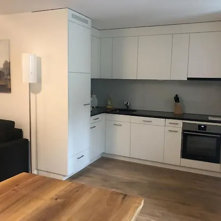 Fantastic 2br Flat Close To Paradeplatz - Canal2 * Zürich