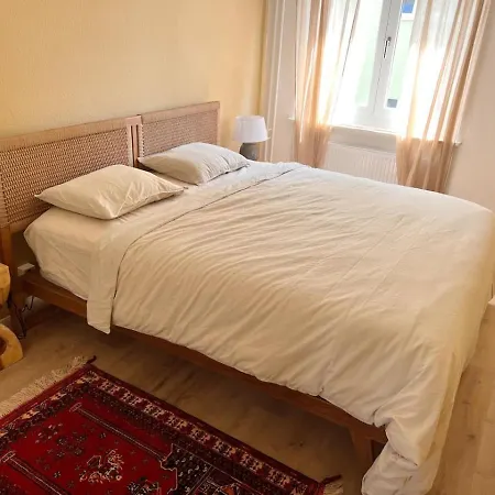 Chic 2br In Oerlikon - Near City Apartment