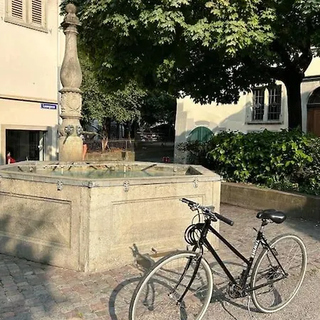 Apartment Lovely Flat Old Town Zurich