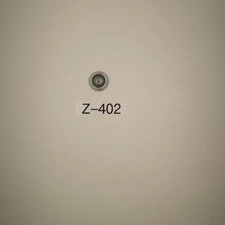 Apartment 3 Bedroom Duplex In Wiedikon