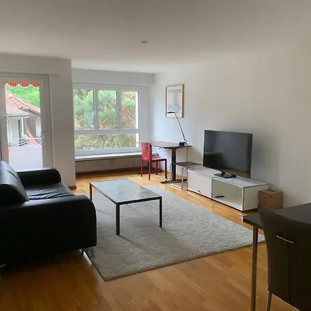 Fantastic 1br Flat In The Center - Marble 1 Zurich