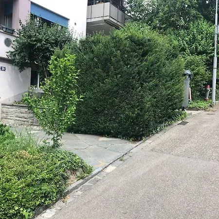 Bright In The Center - Greenyard 1 * Zurich