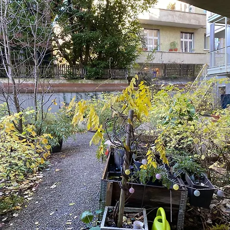 Modernes Studio Im Zentrum Von Zurich